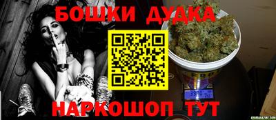 spice Моздок