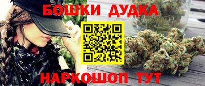 spice Моздок