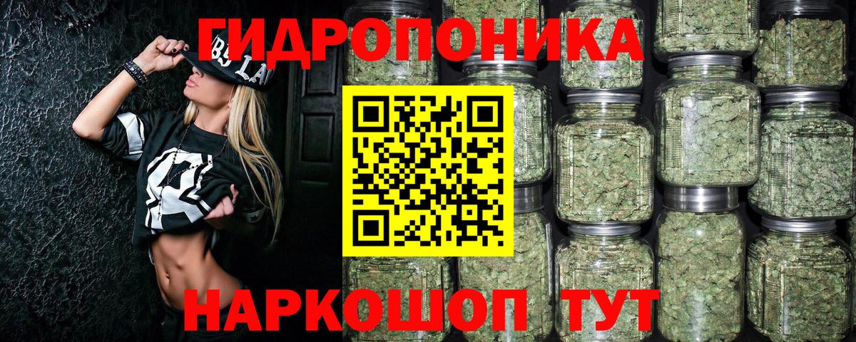 Бошки Шишки тримм Томск